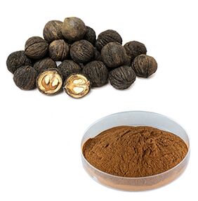 Black walnut in the TOXIC OFF