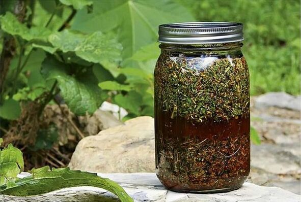 herbal infusion against parasites